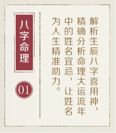 嘉兴起名流程一